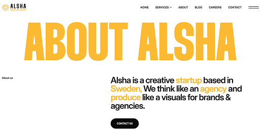 Alsha - Web Development & AI Services | Sweden